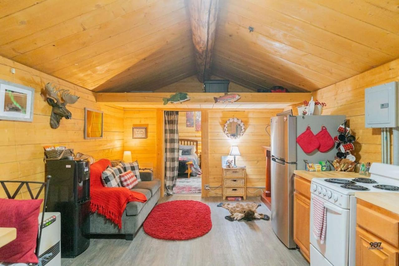 1 Bd. Deluxe Log Dry Cabin| Views Northern Lights! Hébergement de vacances Fairbanks