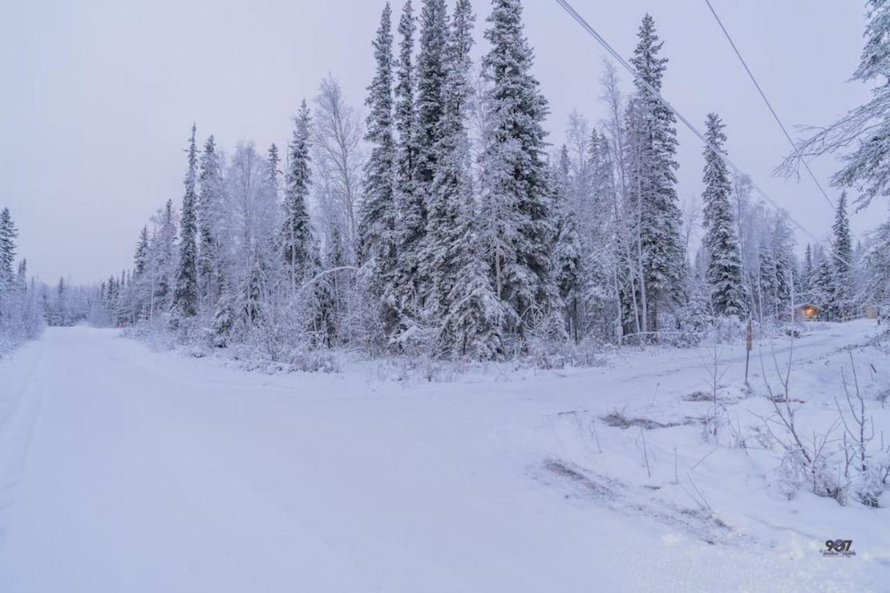 1 Bd. Deluxe Log Dry Cabin| Views Northern Lights! Сasa de vacaciones